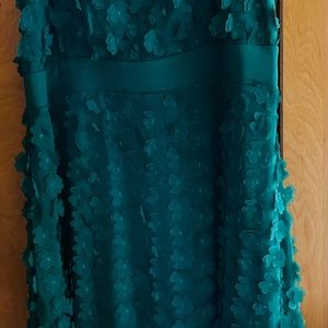 It is a gorgeous dress with little flower petals all over the dress !